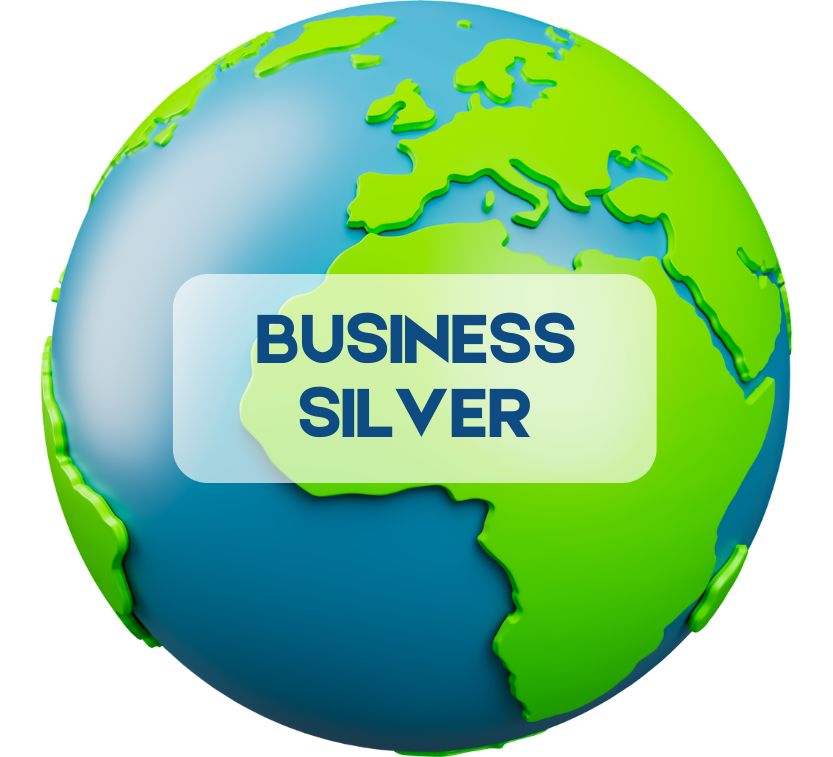 Business Silver